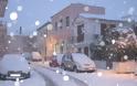 Η χιονισμένη Μύρινα της Λέσβου σε ένα μοναδικό φωτορεπορτάζ - Φωτογραφία 3