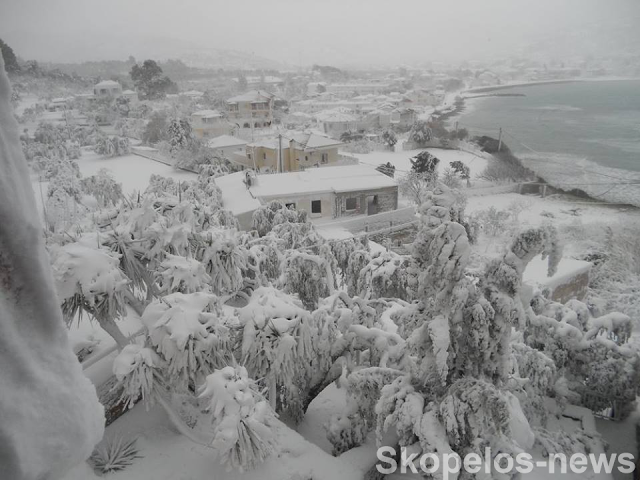 Δείτε χθεσινές εικόνες από την παραλία στην παγωμένη Σκόπελο! - Φωτογραφία 6