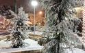 Κατάλευκο, μαγευτικό τοπίο: Απίστευτη χιονόπτωση στη Νέα Φιλαδέλφεια!