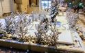 Κατάλευκο, μαγευτικό τοπίο: Απίστευτη χιονόπτωση στη Νέα Φιλαδέλφεια! - Φωτογραφία 6