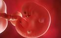 Τι συμβαίνει στο έμβρυο κατά την έκτη εβδομάδα της κύησης