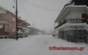 Μισό μέτρο έφθασε το χιόνι στα Τρίκαλα. Έκκληση κατοίκων να ανοίξουν οι δρόμοι... - Φωτογραφία 4