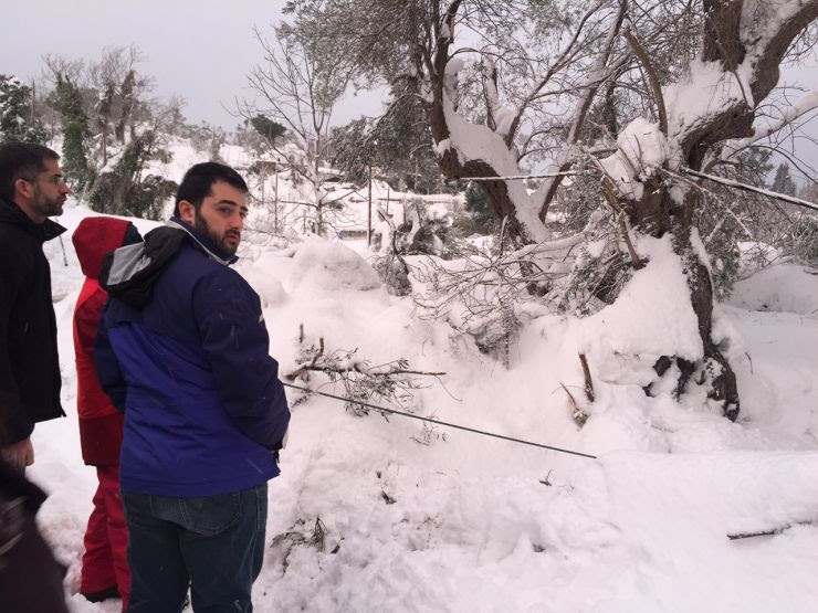 Ο Μπακογιάννης στην Κύμη: «Είχαμε πραγματικά μια βόμβα χιονιού» - Φωτογραφία 2