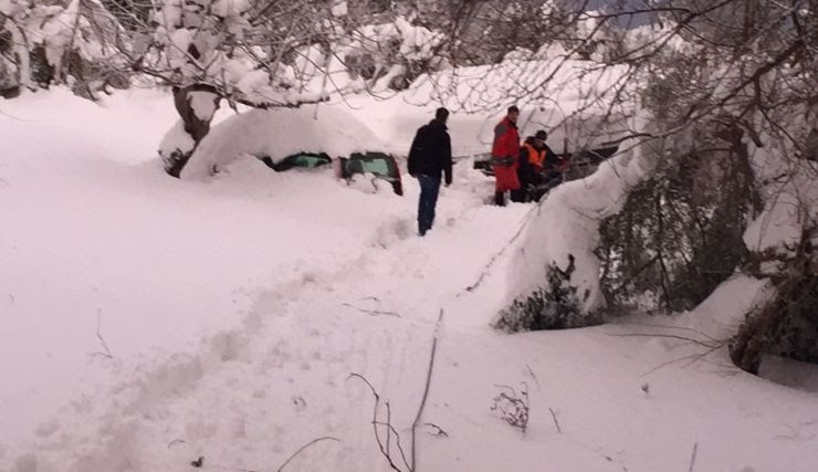 Ο Μπακογιάννης στην Κύμη: «Είχαμε πραγματικά μια βόμβα χιονιού» - Φωτογραφία 6