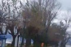 Σε... ποτάμια μετατράπηκαν οι δρόμοι από τη σφοδρή βροχόπτωση - Προβλήματα σε Ρίο, Καστελλόκαμπο