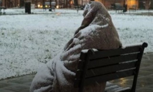 Αίσχος! Δημοτικός υπάλληλος «πέταξε» τους άστεγους στο κρύο... - Φωτογραφία 1