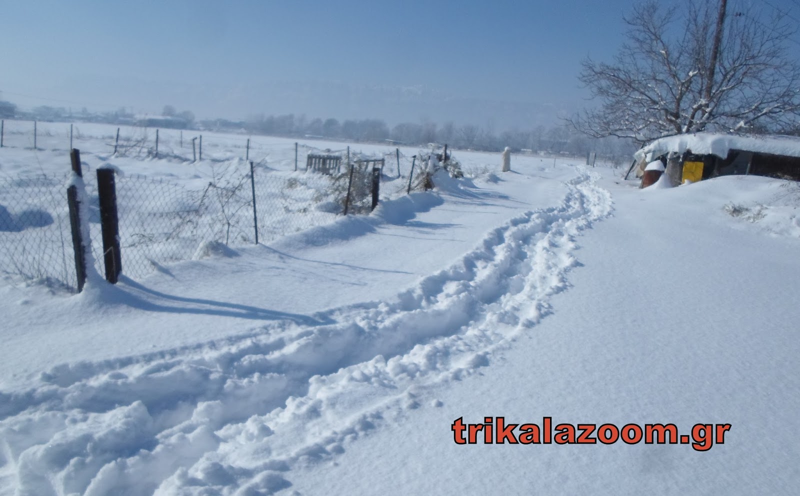 Σκληρή μάχη στα χιόνια δίνουν οι κάτοικοι της Λεπτοκαρυάς Τρικάλων να ταΐσουν τα ζωντανά τους - Φωτογραφία 1