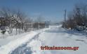 Σκληρή μάχη στα χιόνια δίνουν οι κάτοικοι της Λεπτοκαρυάς Τρικάλων να ταΐσουν τα ζωντανά τους - Φωτογραφία 2