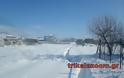 Σκληρή μάχη στα χιόνια δίνουν οι κάτοικοι της Λεπτοκαρυάς Τρικάλων να ταΐσουν τα ζωντανά τους - Φωτογραφία 5