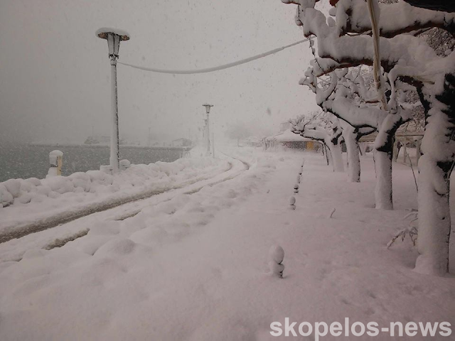 Δείτε εικόνες χάους από την παραλία Σκοπέλου - Φωτογραφία 4