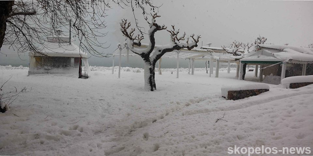 Δείτε εικόνες χάους από την παραλία Σκοπέλου - Φωτογραφία 6