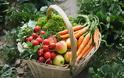Τσουχτερές ανατιμήσεις έως 200% σε φρούτα και λαχανικά αφήνει πίσω της η βαρυχειμωνιά