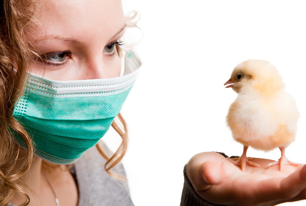 ΚΕΕΛΠΝΟ: Συνάντηση για τη γρίπη των πτηνών - Φωτογραφία 1