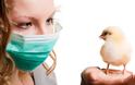ΚΕΕΛΠΝΟ: Συνάντηση για τη γρίπη των πτηνών