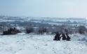 16η Μεραρχία: Έβγαλαν βόλτα τα θηρία! Μάχιμες ΦΩΤΟ στα χιόνια - Φωτογραφία 5