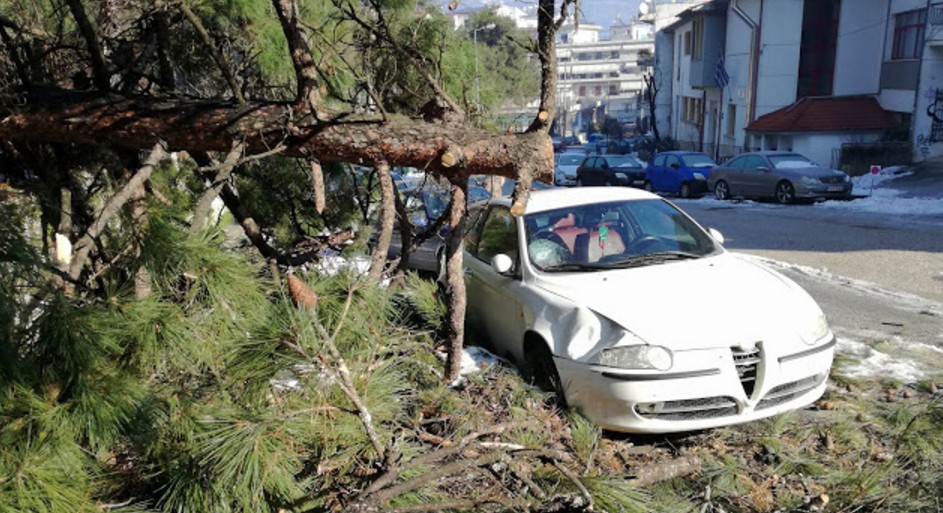 Γιάννενα: Δέντρο έπεσε πάνω σε αυτοκίνητο στα Λακκώματα [photos] - Φωτογραφία 1