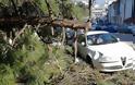 Γιάννενα: Δέντρο έπεσε πάνω σε αυτοκίνητο στα Λακκώματα [photos]