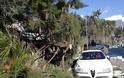 Γιάννενα: Δέντρο έπεσε πάνω σε αυτοκίνητο στα Λακκώματα [photos] - Φωτογραφία 2