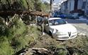 Γιάννενα: Δέντρο έπεσε πάνω σε αυτοκίνητο στα Λακκώματα [photos] - Φωτογραφία 3