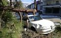 Γιάννενα: Δέντρο έπεσε πάνω σε αυτοκίνητο στα Λακκώματα [photos] - Φωτογραφία 4