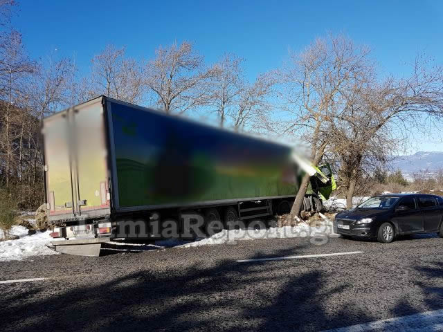 Λαμία: Τα δέντρα σταμάτησαν τη νταλίκα [photos] - Φωτογραφία 13