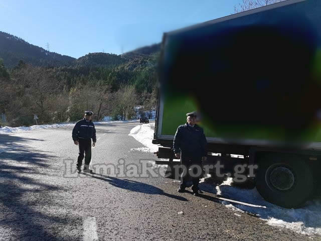 Λαμία: Τα δέντρα σταμάτησαν τη νταλίκα [photos] - Φωτογραφία 18