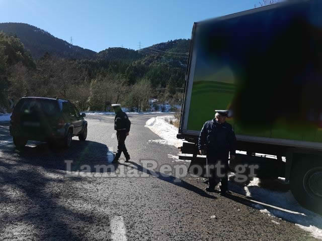 Λαμία: Τα δέντρα σταμάτησαν τη νταλίκα [photos] - Φωτογραφία 19