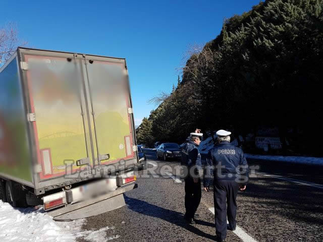 Λαμία: Τα δέντρα σταμάτησαν τη νταλίκα [photos] - Φωτογραφία 20