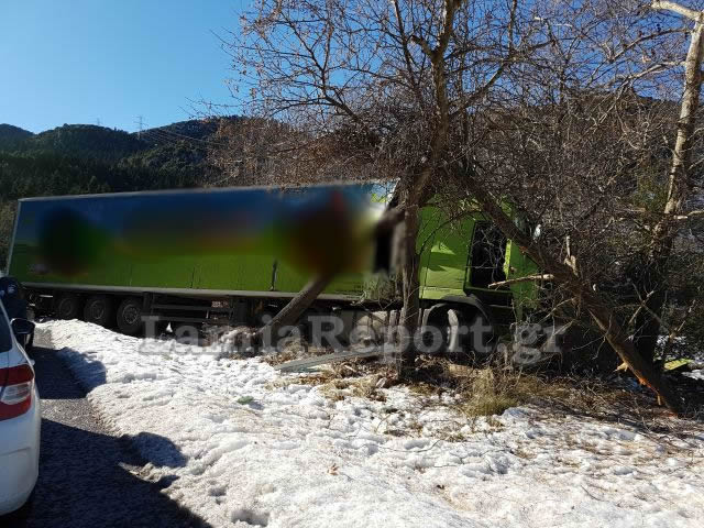 Λαμία: Τα δέντρα σταμάτησαν τη νταλίκα [photos] - Φωτογραφία 5