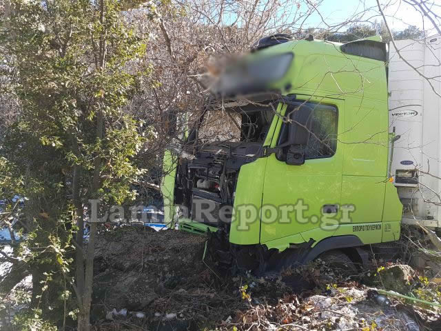 Λαμία: Τα δέντρα σταμάτησαν τη νταλίκα [photos] - Φωτογραφία 8