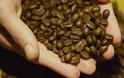 Διαβάστηκε το DNA του καφέ «αράμπικα»