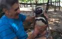 Δείτε τι κάνει αυτός ο πιγκουίνος στον άνθρωπο που τον έσωσε! [video]