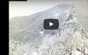 Η εναέρια πρωινή βόλτα του σκίουρου στα ορεινά της Καρδίτσας [video]