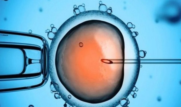 Άτεκνο ζευγάρι απέκτησε μωρό από τεχνητή γονιμοποίηση με DNA τριών ανθρώπων - Φωτογραφία 1