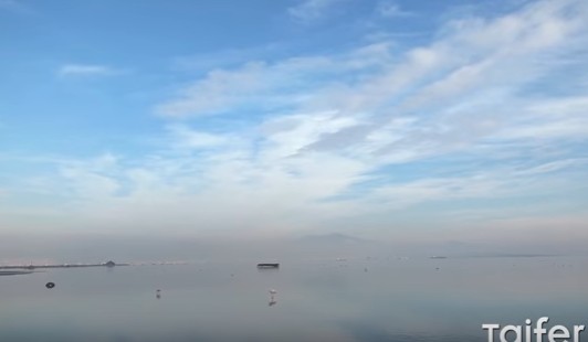 Θεσσαλονίκη: Η παγωμένη λιμνοθάλασσα των φλαμίνγκο [video] - Φωτογραφία 1