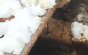 Fwd: Τεράστιες καταστροφές σε κτηνοτροφική μονάδα στη Τρικοκκιά Γρεβενών [ΣΟΚαριστικές εικόνες + video] - Φωτογραφία 3