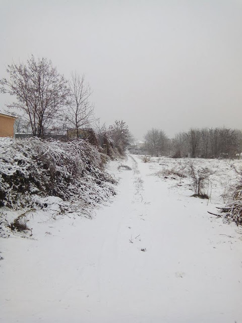 «Χτύπησε» και στην Ξάνθη ο ΒΙΚΤΩΡ - Χιόνια σε βουνό και θάλασσα και κλειστά σχολεία - Φωτογραφία 13