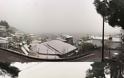 «Χτύπησε» και στην Ξάνθη ο ΒΙΚΤΩΡ - Χιόνια σε βουνό και θάλασσα και κλειστά σχολεία - Φωτογραφία 15