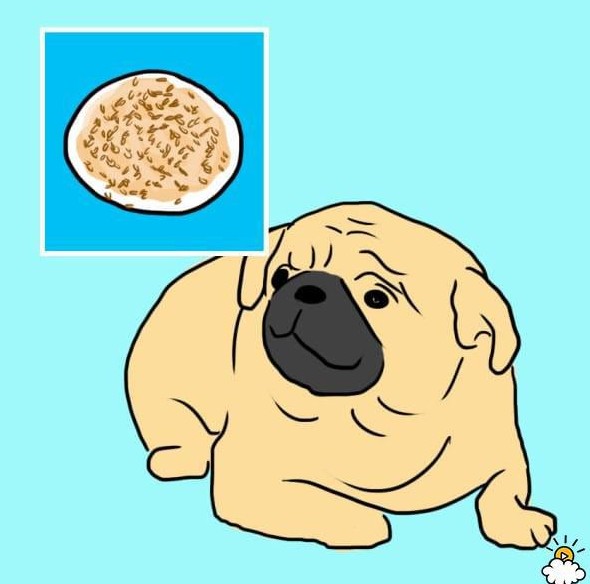 ΑΥΤΕΣ είναι 10 ανθρώπινες τροφές που επιτρέπεται να δίνετε στον σκύλο σας... - Φωτογραφία 5