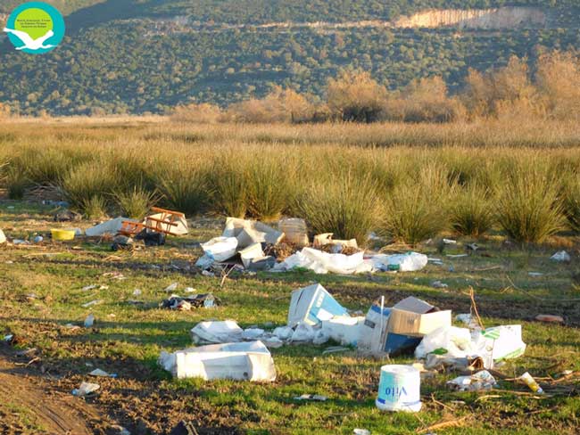 Εικόνες ντροπής - Μετέτρεψαν το προστατευόμενο Έλος Αμμουδιάς σε χωματερή [video] - Φωτογραφία 8