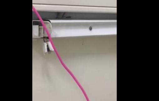 ΕΙΚΟΝΕΣ ΝΤΡΟΠΗΣ: Βίντεο της ΠΟΕΔΗΝ με κατσαρίδες σε δημόσιο νοσοκομείο - Φωτογραφία 1