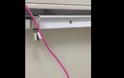 ΕΙΚΟΝΕΣ ΝΤΡΟΠΗΣ: Βίντεο της ΠΟΕΔΗΝ με κατσαρίδες σε δημόσιο νοσοκομείο