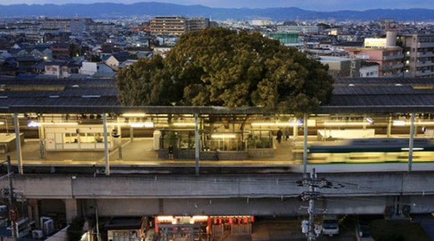 Ένα δέντρο 700 ετών βρίσκεται μέσα σε σιδηροδρομικό σταθμό για έναν ξεχωριστό λόγο - Φωτογραφία 1