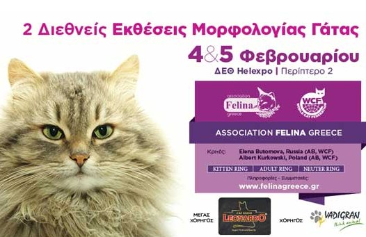 6ο pet festival για μικρούς και μεγάλους στο πλαίσιο της Zootechnia - Φωτογραφία 2