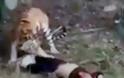 Ανατριχιαστικό βίντεο:Τρεις τίγρεις κατασπάραξαν άνδρα μπροστά στην οικογένεια του - Φωτογραφία 2
