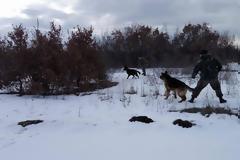 Έλεγχος Επιχειρησιακής Ικανότητας και Εκπαίδευσης Στοιχείων Εκπαιδευμένων Συνοδών - Σκύλων