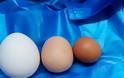 Κότα στον Πόρο έκανε αυγό – «γίγαντα» - Φωτογραφία 2