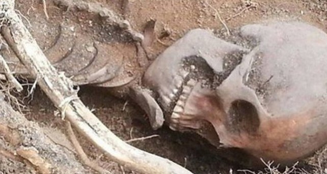 Βρέθηκε ανθρώπινος σκελετός στο Ηράκλειο - Φωτογραφία 1