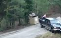 Διάσωση τριών μικρών αρκούδων [Video]