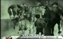 VIDEΟ: ΟΛΗ Η ΑΛΗΘΕΙΑ ΓΙΑ ΤΑ ΚΑΤΟΧΙΚΑ ΔΑΝΕΙΑ
